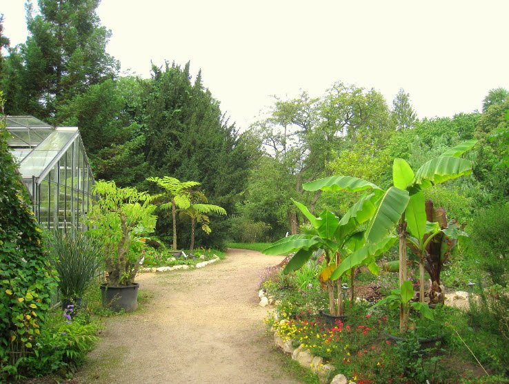 Botanical Garden of TU Darmstadt, Darmstadt, Germany, Germany